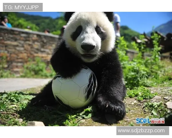 足球明星与可爱熊猫亲密互动的卡通形象展现温馨友谊与快乐时光